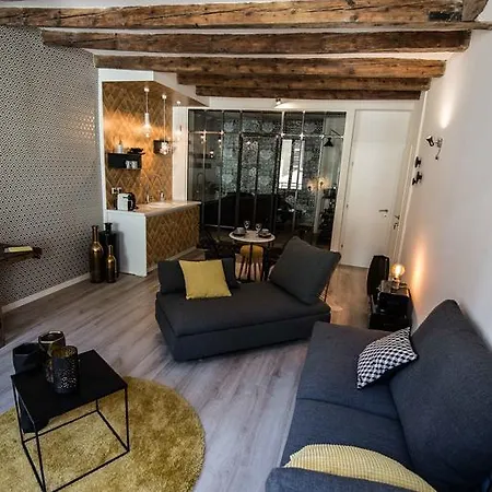 Appartement Un Lieu Unique Le Gold Et Le Cocon